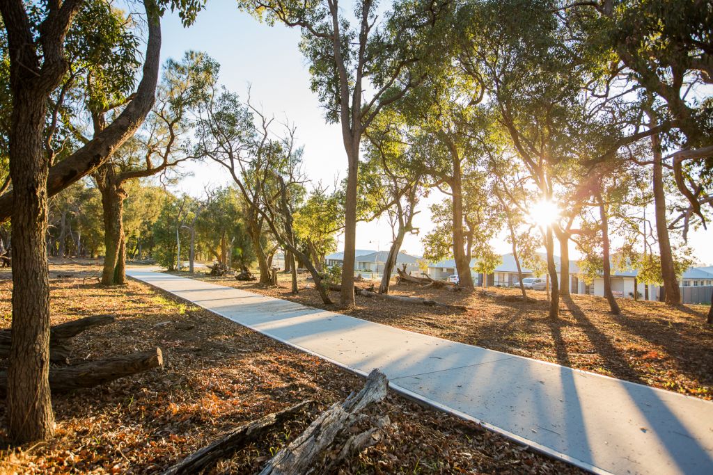 Passive Solar Design: A Smarter Way to Build for Comfort and Efficiency